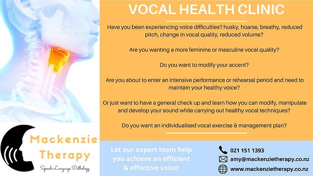 Voice Info Powerpoint Slide 1 (1).png