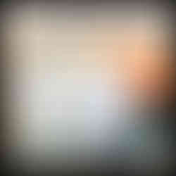 The Lion of Mars Novel Study Comprehension Questions