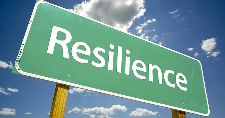 Resilience-scaled.jpg