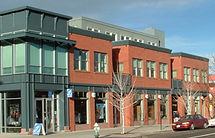 BoulderCO_DowntownDGs_Website Project Thumbnail.jpg