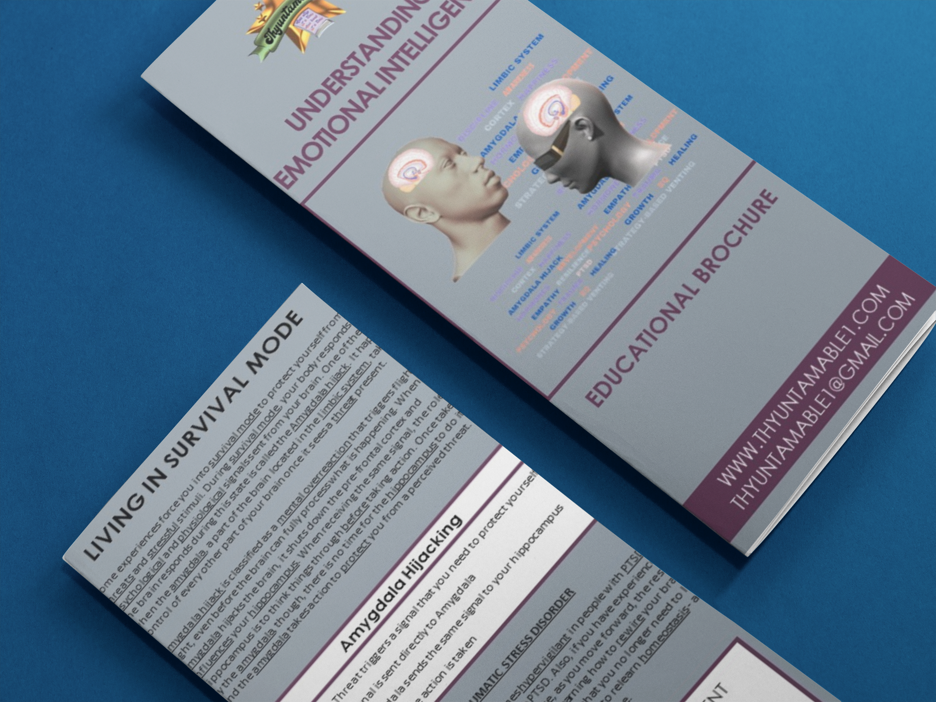 Emotional Intelligence Educational Brochure