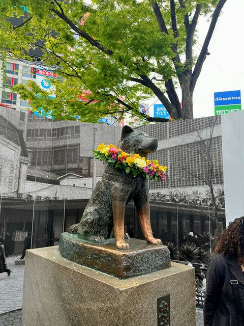 Hachiko statue in Shibuya wearing a flower garland, a beloved symbol of the city
