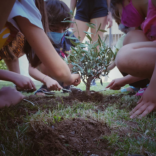 WhatsApp Image 2020-12-03 at 19.08.58.jpeg