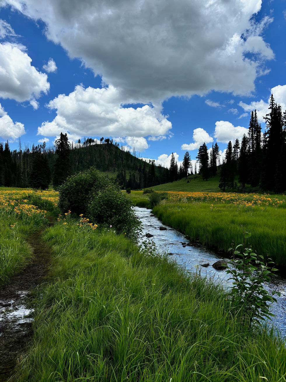 She Roams Backpacking Adventure in Greer, AZ