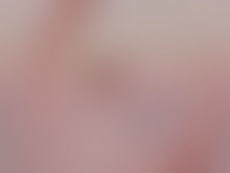 Quick Moon cycle guide