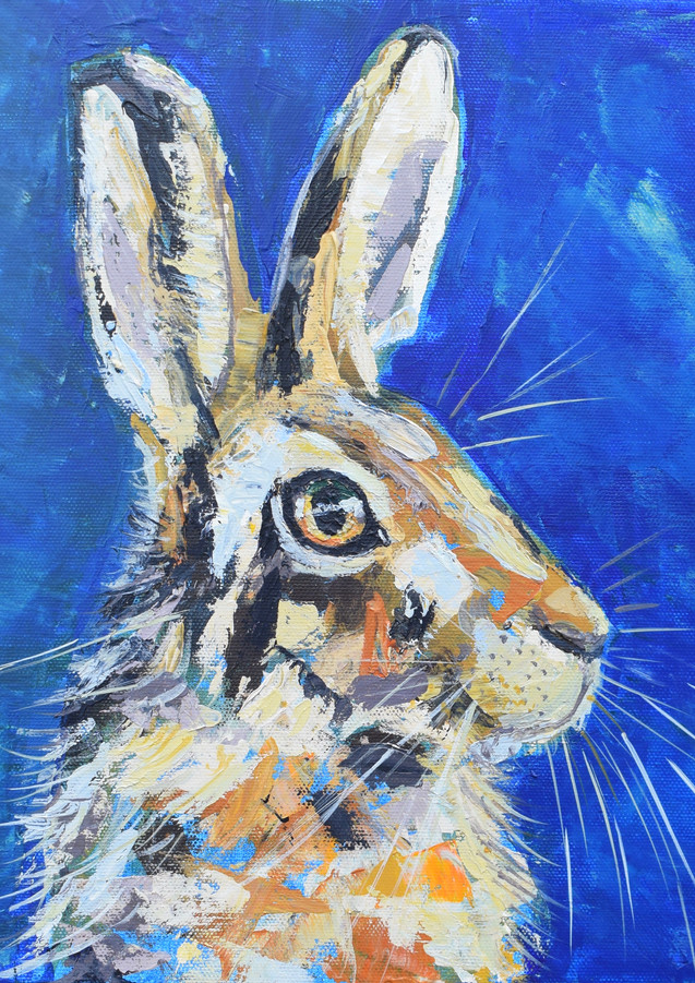 HARE No.2