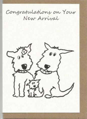 S31 New Arrival