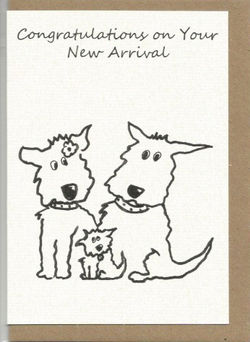 S31 New Arrival
