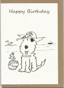 S25 Happy Birthday Matey