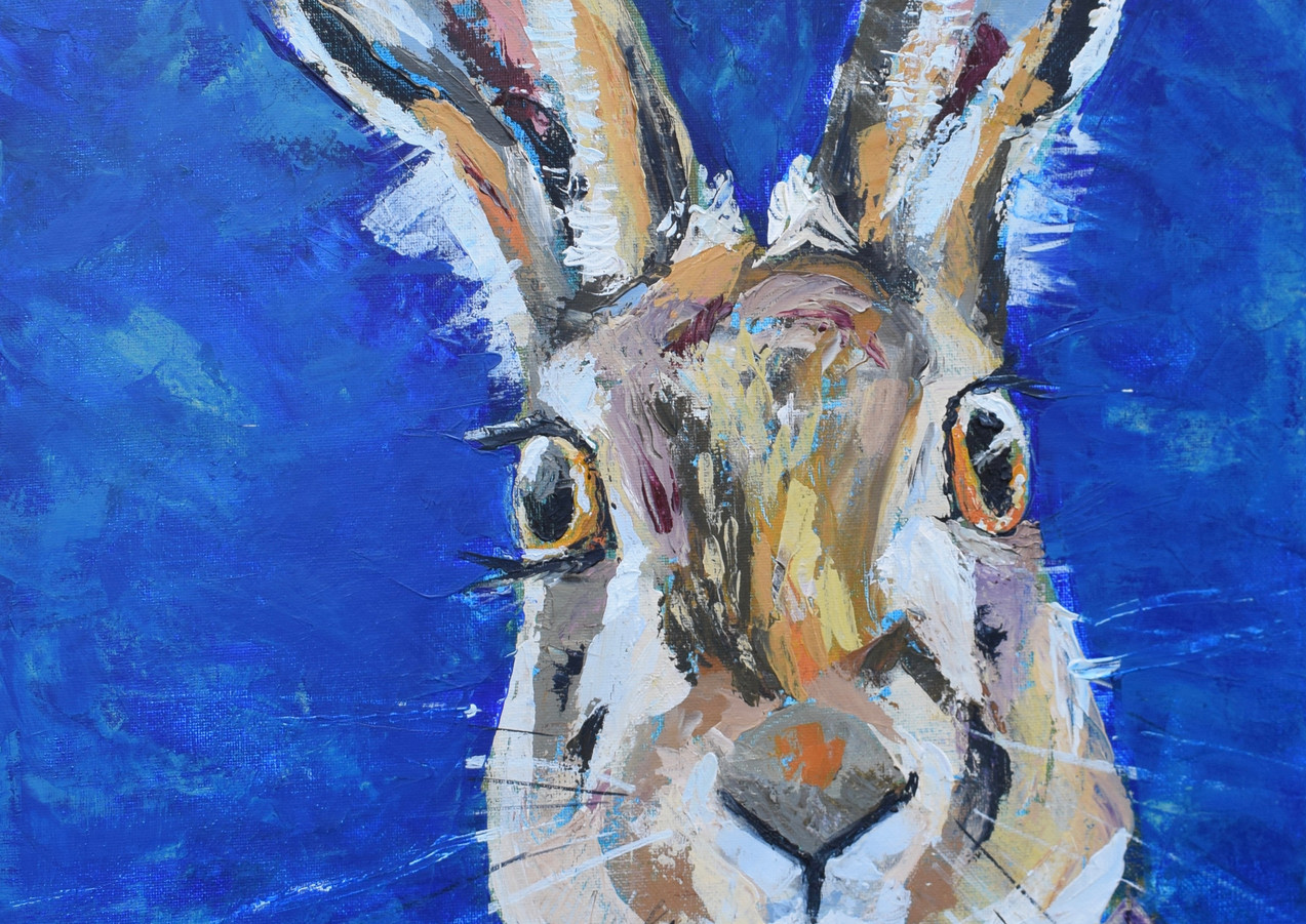 HARE No. 1
