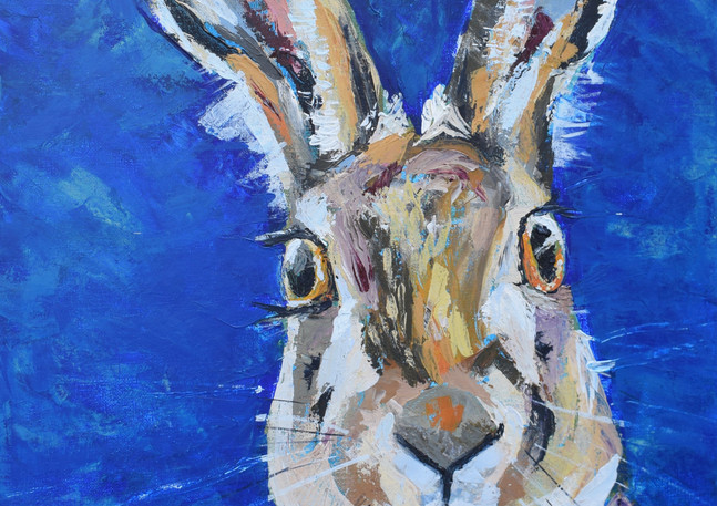 HARE No. 1