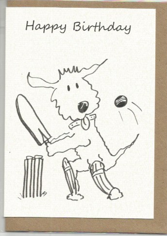 S21 Happy Birthday Cricket