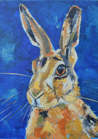 HARE No.3