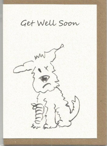 S3 Get Well Soon