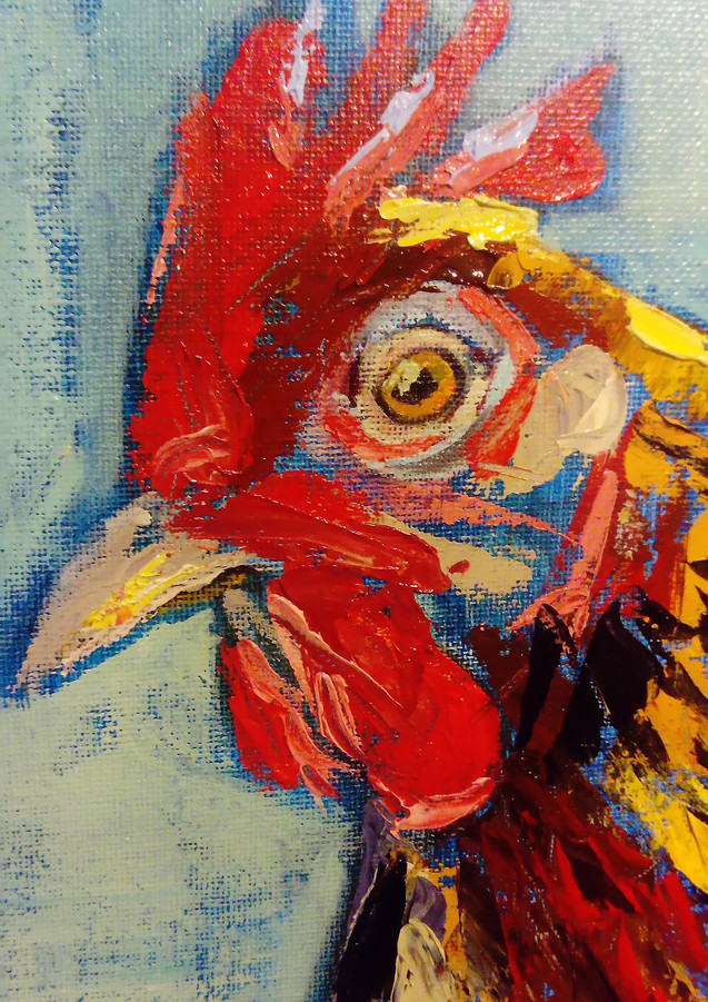 WELSUMMER HEN
