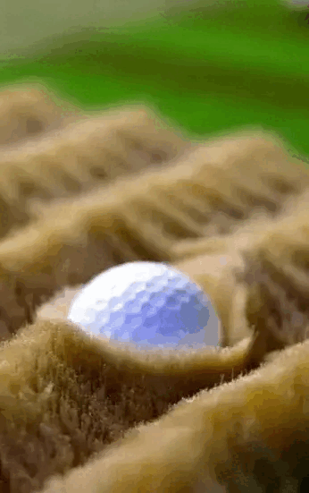Multi-surface playing lets golfers practice fairways, roughs, and greens in indoor golf simulators.