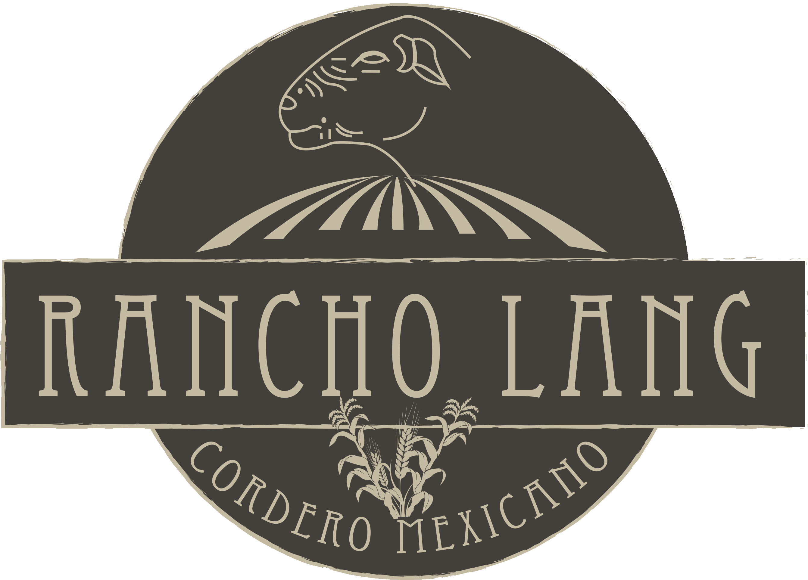 RANCHO LANG, CORDERO MEXICANO