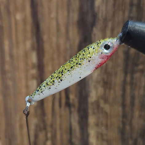 2 pole fishing az Fishing in ARIZONA: The Complete Guide