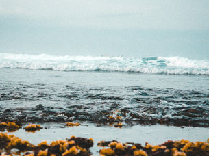 Wembury by Lizzie Elliot-Klein