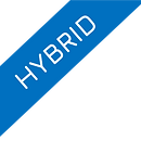 hybrid_edited.png