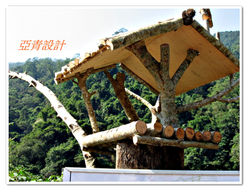 設置木頭誘鳥器