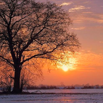  Vendredi 15 novembre 2024