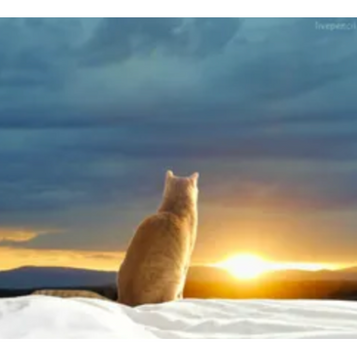 Vendredi 6 février 2026