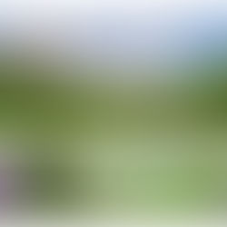 Vendredi 3 avril 2026