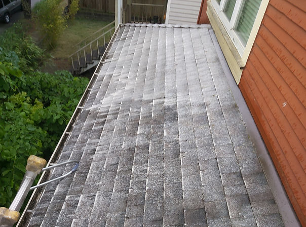After Burnaby Roof Cleaning, Moss Removal and application of Moss Treatment
