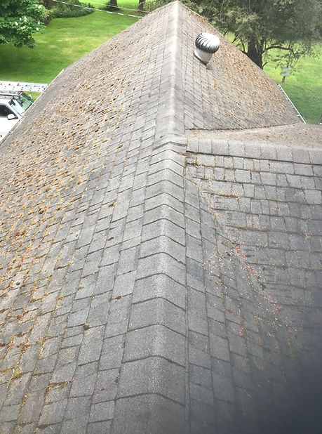 Pitt Meadows Roof Moss Removal & Moss Treatment Services