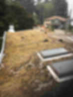 Coquitlam Moss Removal - Before