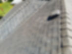 Roof Moss Removal Vancouver - damaging moss is brushed off, gutters cleaned and the roof treated wit