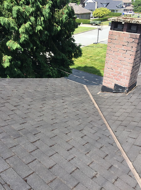 Coquitlam Roof Moss Removal and application of Moss & Algae Roof Treatment to the roof