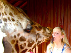 254294_10150223401597321_3568401_n