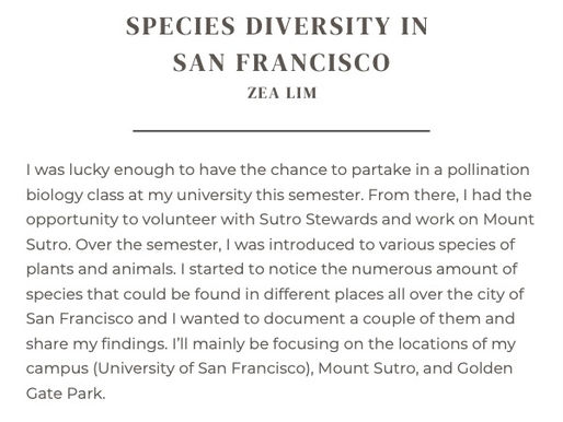 Species Diversity in San Francisco