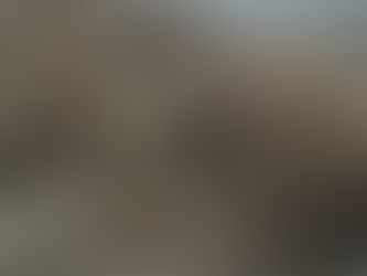 Invasive Species Taking Over Griffith Park