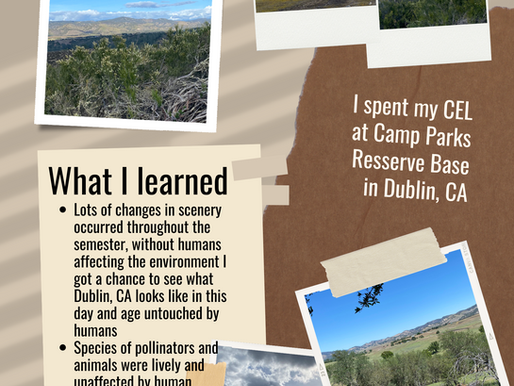 Camp Parks Base Reserve Observations