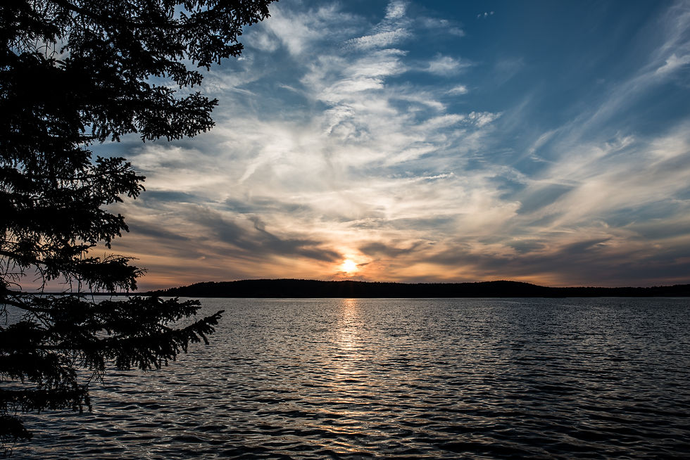 Water View