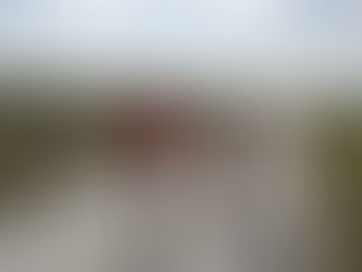 Watch Out for Gators!