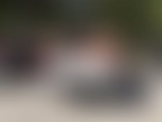 Scouting for Food--Annual Scouting Service Project