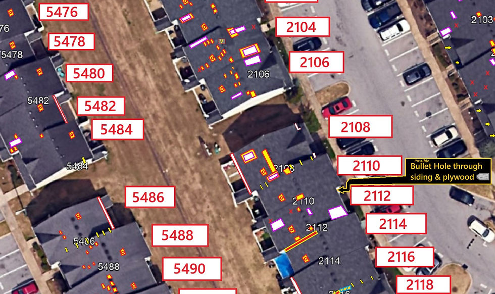 Zoomed in Detail on the Master Image: Specifies the Location, Rough Size and Type of Issue.
