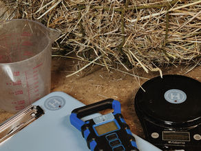 Overconsumption Trends Are Impacting Your Horse's Nutrition