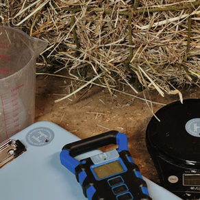 Overconsumption Trends Are Impacting Your Horse's Nutrition
