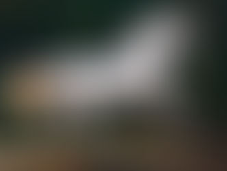 The Case of the Weakest Link: Protein & Amino Acids