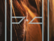 The Value in (Supportive) Science Communications