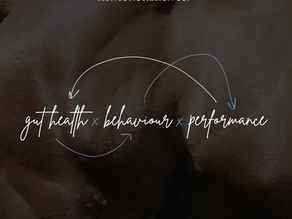 Gut Health x Behaviour x Performance