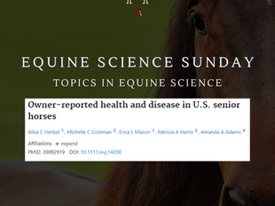 Equine Science Sundays: Survey Finds Concerning Senior Horse Care Trend