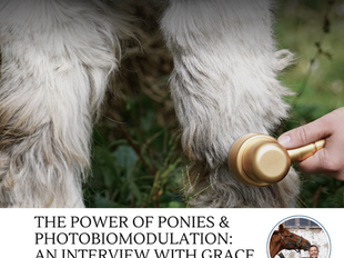 Grace Equine Development: The Power of Ponies & Photobiomodulation