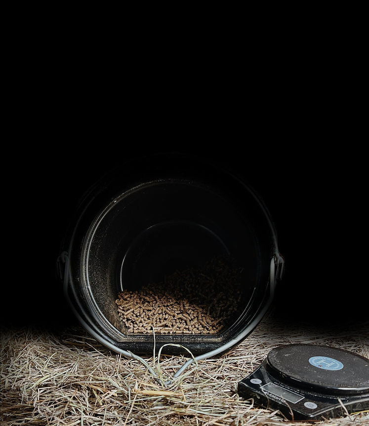 blackbg2_edited.jpg