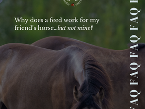 Why does a feed work for my friend’s horse…but not mine?